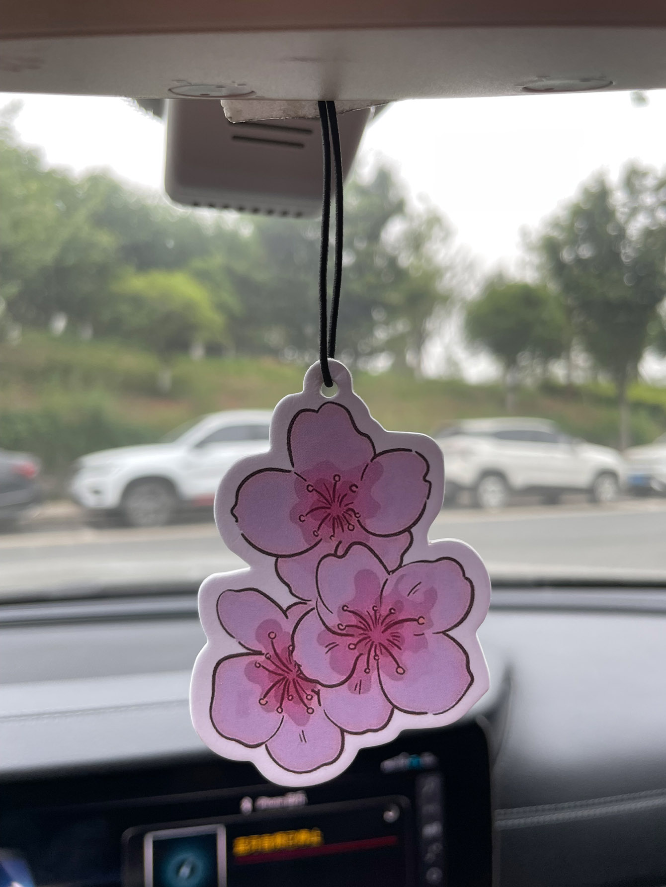 น้ำหอมปรับอากาศในรถยนต์กลิ่นซา - Home Bathroom Freshener บทวิจารณ์และราคา
